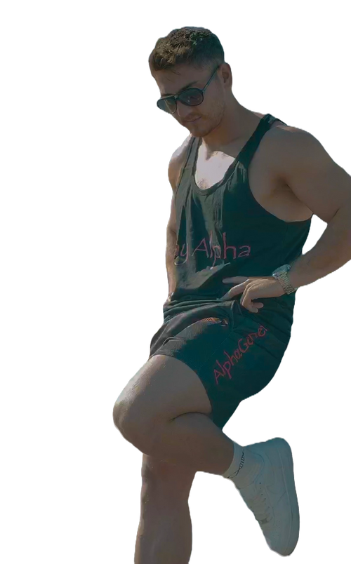 Alpha Mesh Shorts limited edition