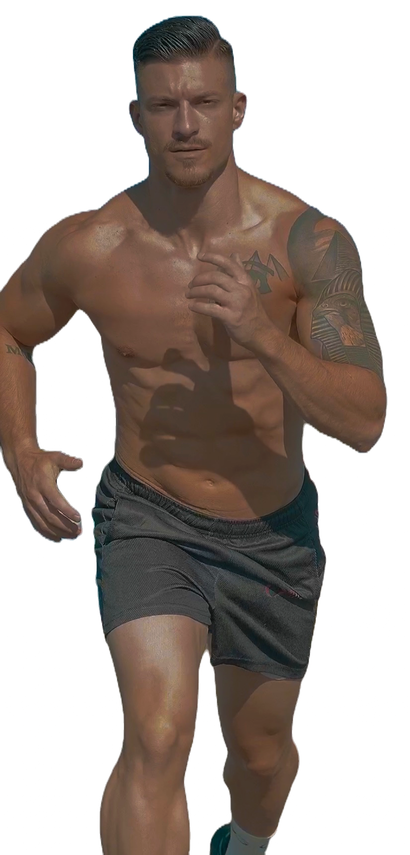 Alpha Mesh Shorts limited edition