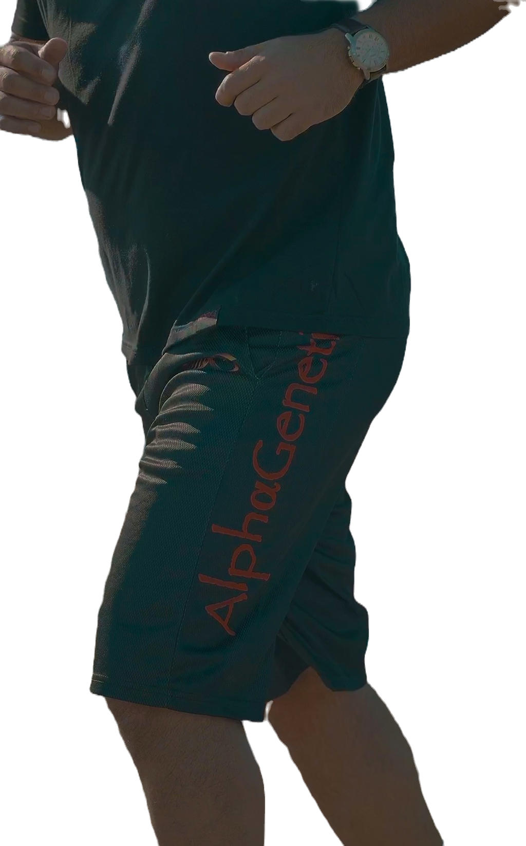 Alpha Mesh Shorts limited edition