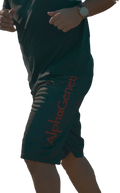 Alpha Mesh Shorts limited edition