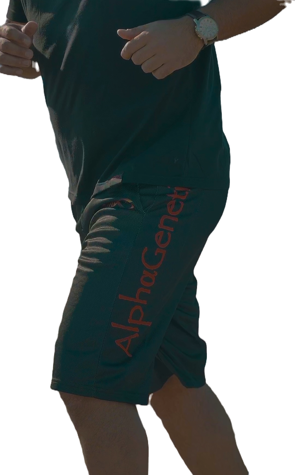 Alpha Mesh Shorts limited edition