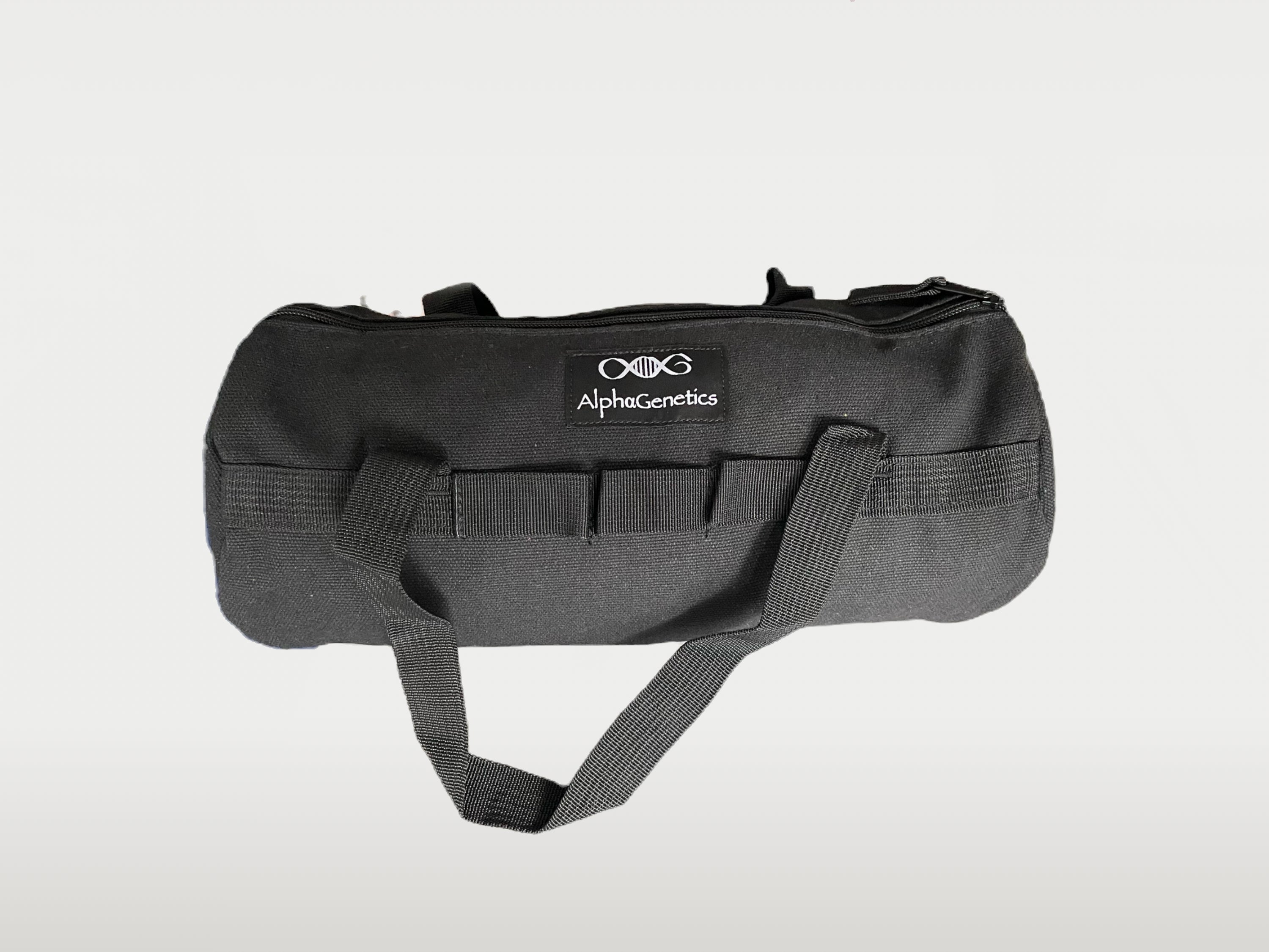 Molle BAG