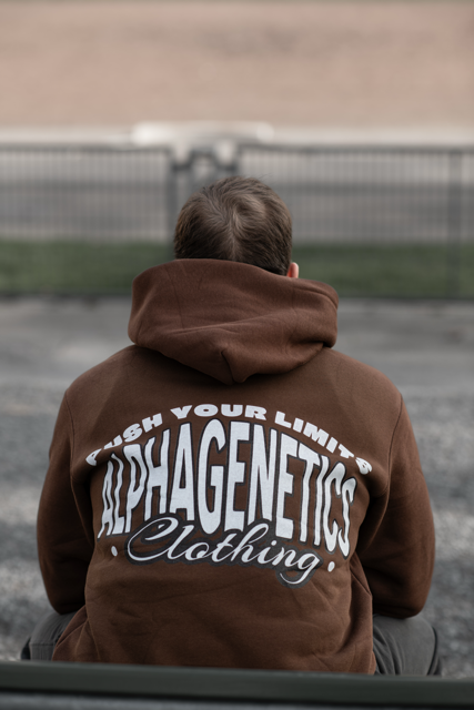 Hoodie "Ascent"