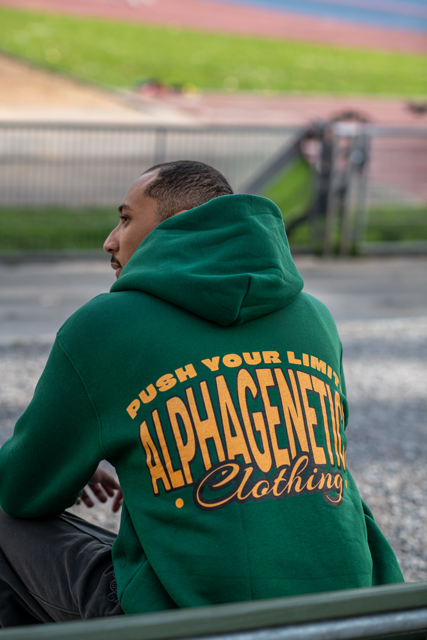 Hoodie "Ascent"